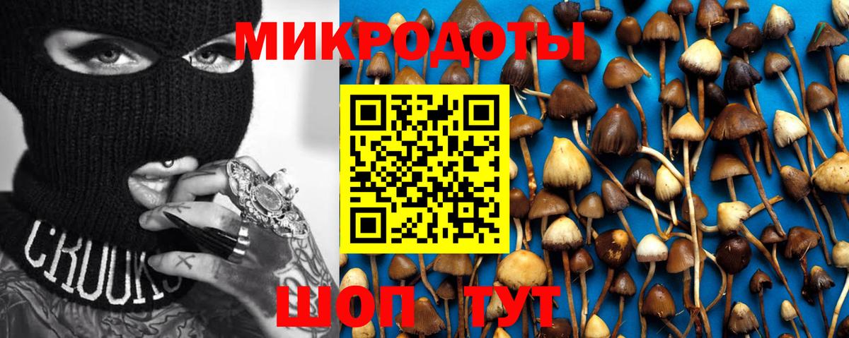 Галлюциногенные грибы Psilocybe Рыбинск