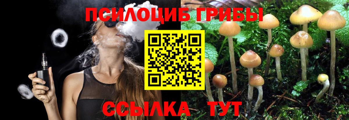 магазин  наркотиков  Вход с VPN  Рыбинск  Псилоцибиновые грибы Cubensis  Галлюциногенные грибы Cubensis 